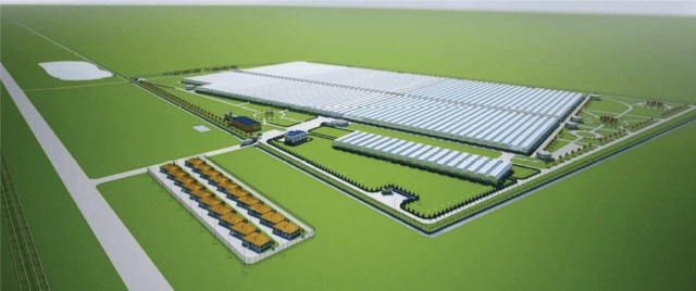 ТУННЕЛЬНЫЕ И БЛОЧНЫЕ ПРОМЫШЛЕННЫЕ ТЕПЛИЦЫ